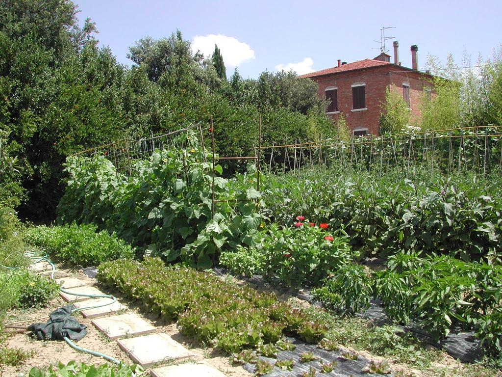Villa La Lodola Foiano Della Chiana Exterior foto